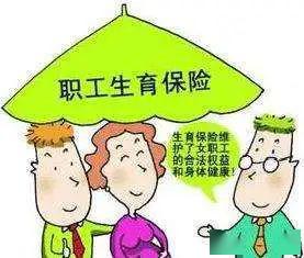 社会保险冷知识(社会保险常识)(社会 保险)