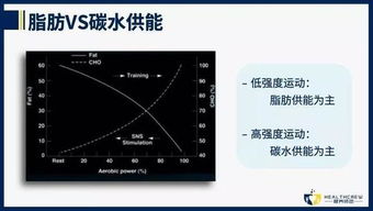 为什么每次锻炼汗流浃背体重却不变,原来是没搞懂脂肪如何代谢