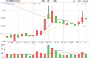 300108 双龙股份接下来走势如何18元进的