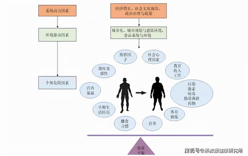 教授生活常识(教授的人生)