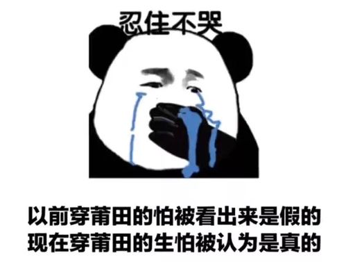 无标题