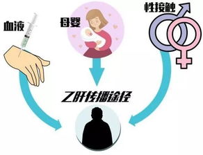 乙肝妈妈怀孕后能生下一个健康的宝宝吗