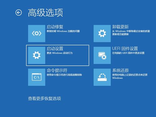 win10怎么强制进入系统更新