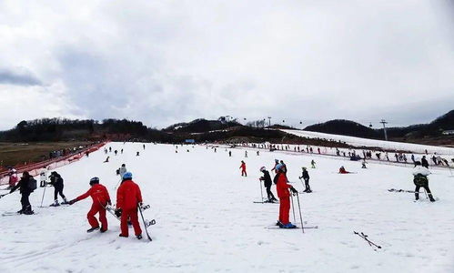 日均接待过千人 绿葱坡滑雪场春节假期人气旺