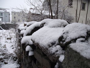 魔兽世界 法师暴风雪 突然下的量比原来大