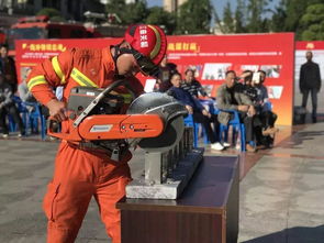 曲江区消防大队2019年上半年区属重点单位消防监督抽查计划公告 
