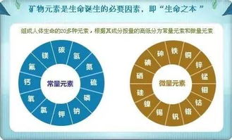 人体9大微量元素与疾病不能不说的关系 