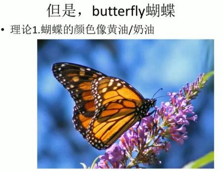 摩西英语带你走进 蝴蝶 butterfly的前世