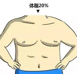如何把体脂率减到可以看见六块腹肌 