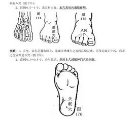 最全针灸取穴,一学就会 有图示 