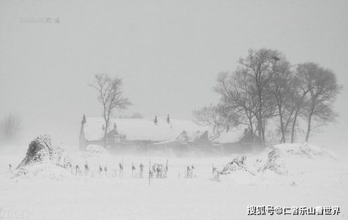 如何将普通的场景,拍成具有艺术感染力的摄影作品呢