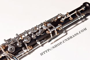 劳瑞125周年纪念版双簧管