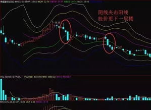 在股票急剧下跌过程中，为什么散户会接盘？