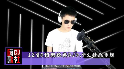 12首 何鹏经典DJ ,中文情感舞曲串烧大碟 