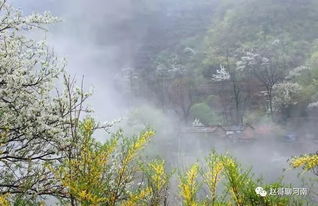 河南林州,寻找属于山村春天的颜色 