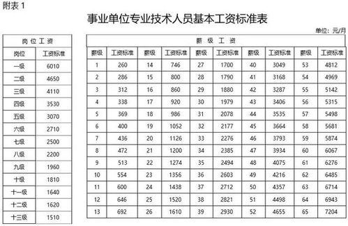 教师工资水平将提高 有望高于公务员 但不同职称差距有多大