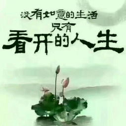 伤痕本就精彩 