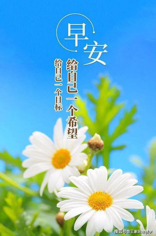 生肖运程今日播报