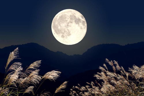 超级月亮 今晚月色很美,别浪费了