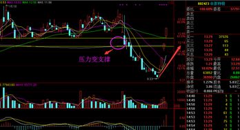 谁知道胜龙股票软件在那里下栽?