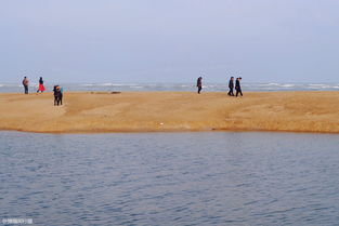 海怎么造句-用河流和河流还有大海和大海造句？