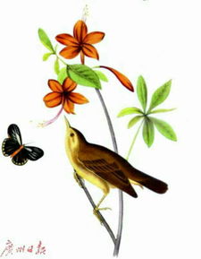小鸟和飞蝶是什么生肖在十二生肖中代表什么 