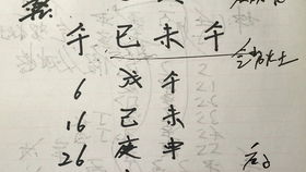 四柱八字算命,运行西方金地穷苦潦倒,中集