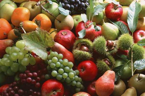 100种最普通的水果 1000个水果名字