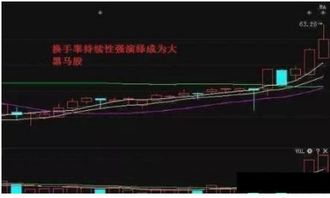 中航资本连续12天换手率都超过了5%说明什么