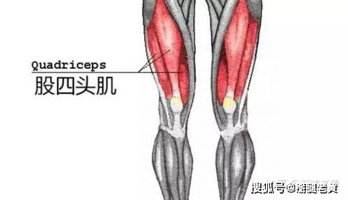 下肢术后不及时康复会导致肌肉萎缩,试试这招轻松改善这个问题