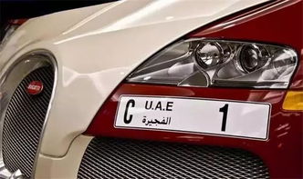 迪拜车牌涂装怎么弄好看 迪拜车牌号越少地位越高吗