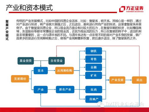 复星系的历史