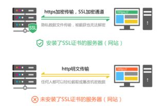 虚拟主机里面可以安装软件吗(阿里云虚拟主机装软件)