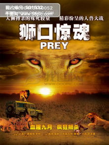 图片免费下载 电影狮子素材 电影狮子模板 千图网 