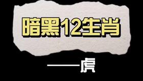 暗黑版的十二生肖,观看请忽略动物特征 温馨提示 请准备好30M左右的流量 纹身