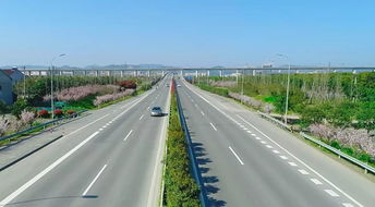 这条入围宁波最美公路 航道 段 的公路就在你身边,其实公路也可以很美丽