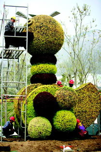 实拍青岛世园惊艳雕塑 竹藤遮阳伞花朵搭巨鸭