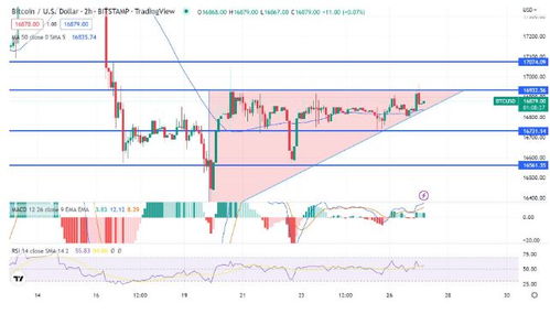 btc行情看盘软件,btc美元行情最新价格