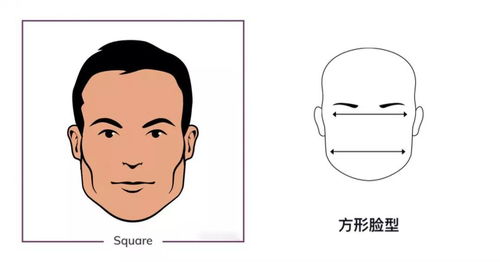 如何打造理想发型 男士版 请看脸型对号入座