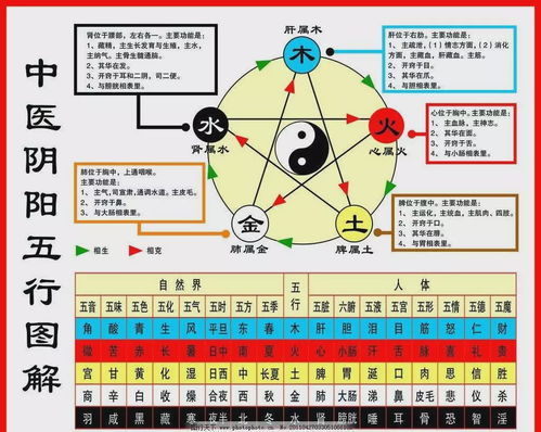 乙酉日五行属什么五行相生相克