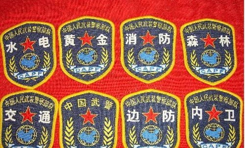 武警 金木水火土 五行俱全,中国消防救援学院,他们的最高学府