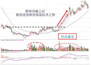 股票消户要怎么样操作呀?全程要多久呢?