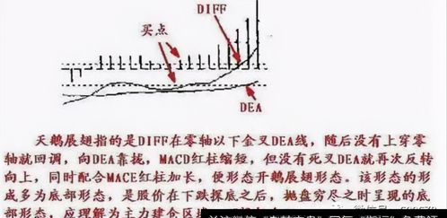 macd在什么位置股价上涨最快