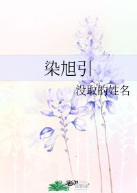 染旭引 没取的姓名 