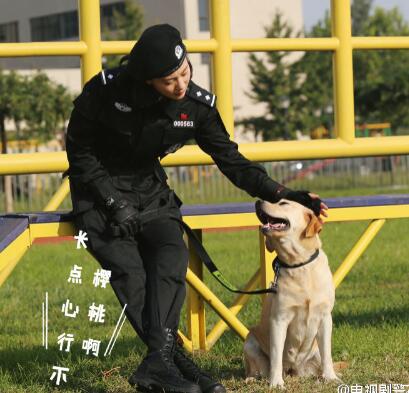 警花与警犬大结局是什么 樱桃最后为什么死了 