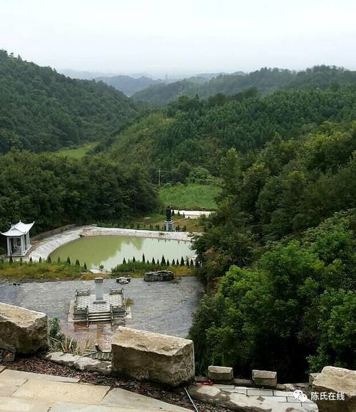 义门陈始祖旺公墓 ,九凤朝阳,风水宝地