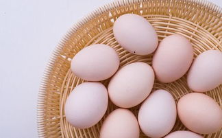 红皮鸡蛋和白皮鸡蛋有什么区别（满月红鸡蛋的做法）