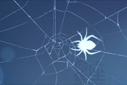 梦见蜘蛛网粘在头上寓意着什么