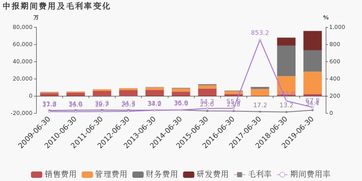 远光软件上半年营收同比增长20.97%