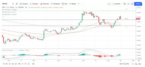 瑞波币历史最低价格,ripple币最新行情